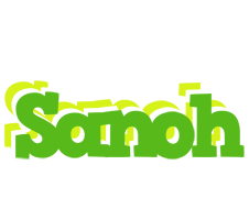 Sanoh picnic logo