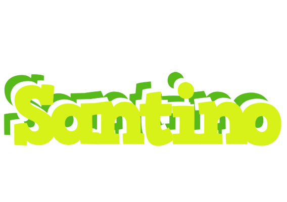 Santino citrus logo
