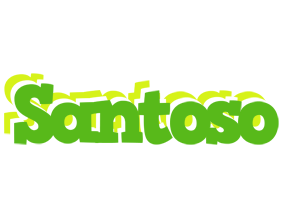 Santoso picnic logo