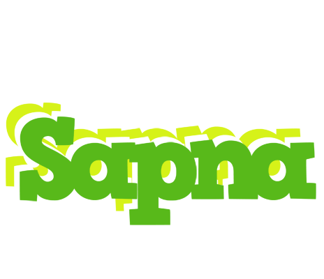 Sapna picnic logo