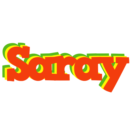 Saray bbq logo
