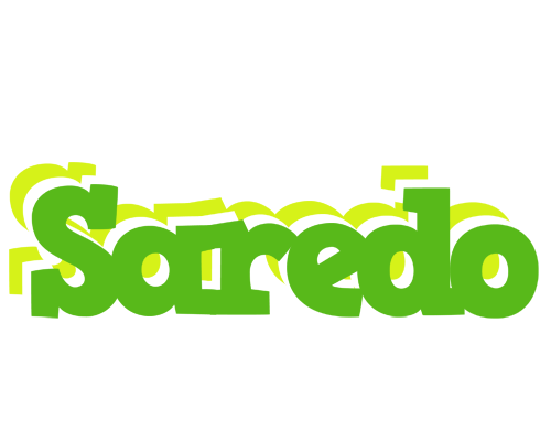 Saredo picnic logo