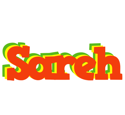 Sareh bbq logo