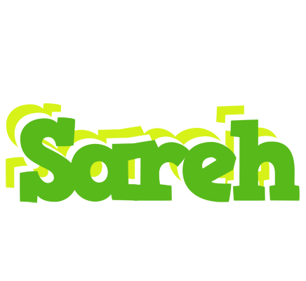 Sareh picnic logo