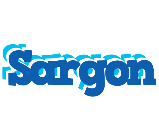 Sargon business logo