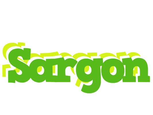 Sargon picnic logo