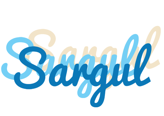 Sargul breeze logo