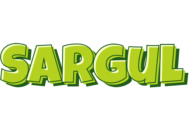 Sargul summer logo