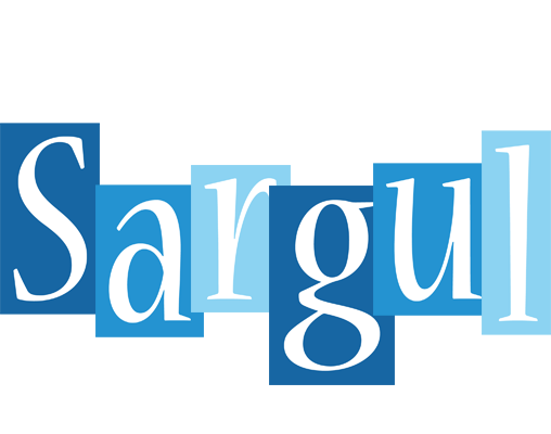 Sargul winter logo