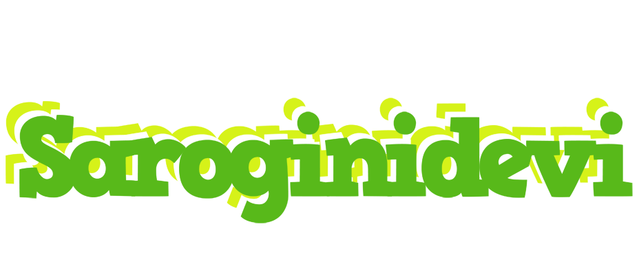 Saroginidevi picnic logo