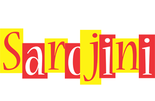 Sarojini errors logo