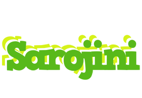 Sarojini picnic logo