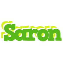 Saron picnic logo