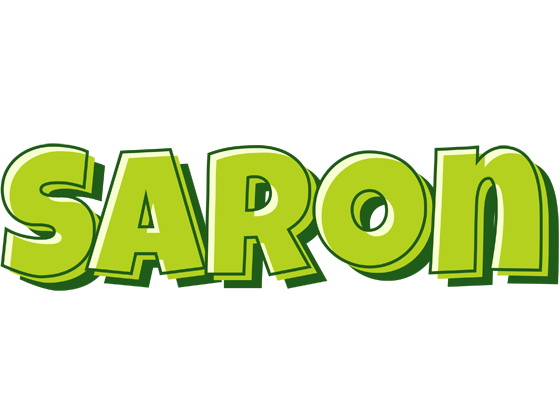 Saron summer logo