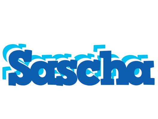 Sascha business logo