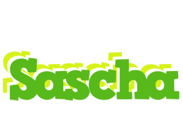 Sascha picnic logo