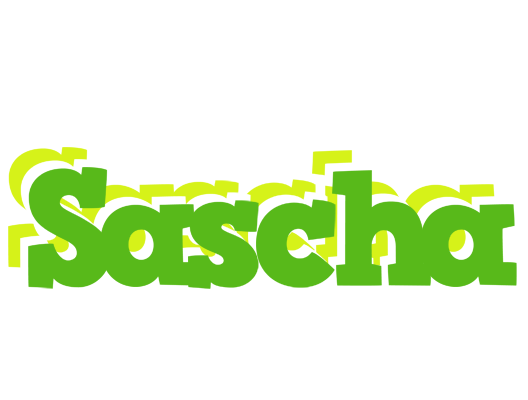 Sascha picnic logo