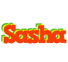 Sasha bbq logo