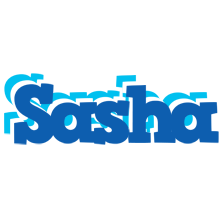 Sasha business logo
