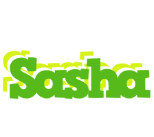 Sasha picnic logo