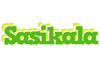 Sasikala picnic logo