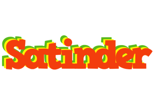 Satinder bbq logo