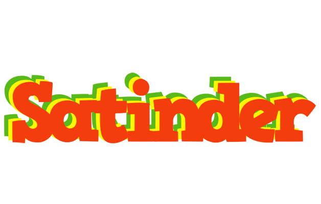 Satinder bbq logo