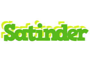 Satinder picnic logo