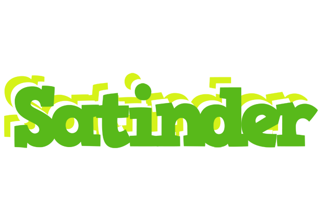 Satinder picnic logo