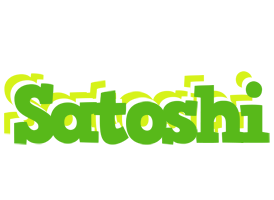 Satoshi picnic logo