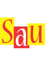 Sau errors logo