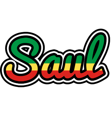 Saul african logo