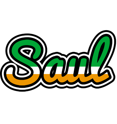 Saul ireland logo