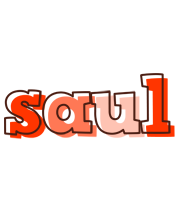 Saul paint logo