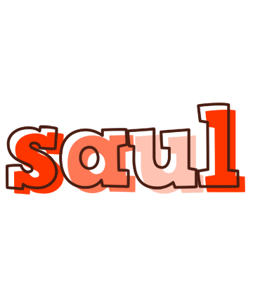 Saul paint logo