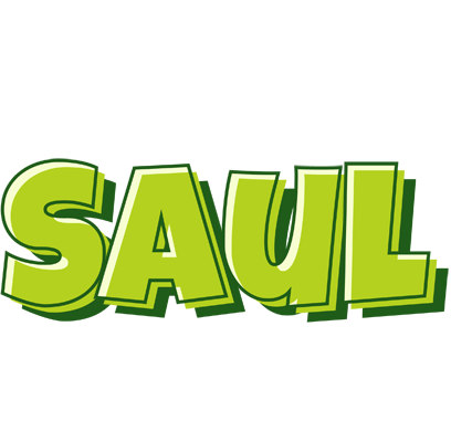 Saul summer logo