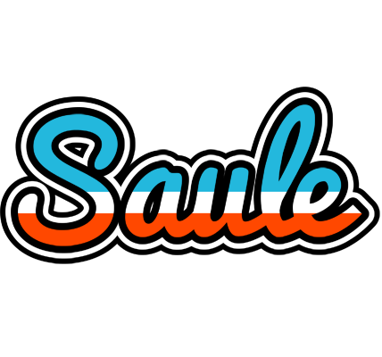 Saule america logo
