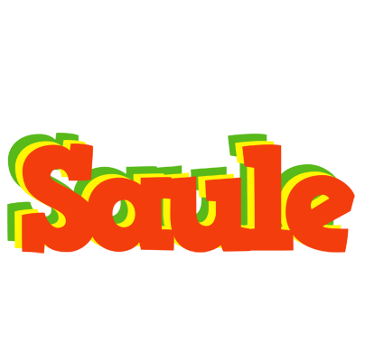 Saule bbq logo