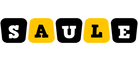 Saule boots logo