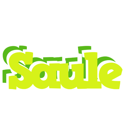 Saule citrus logo