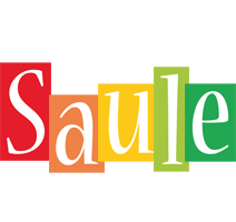 Saule colors logo