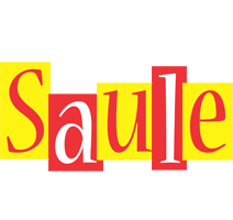 Saule errors logo