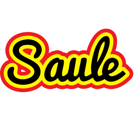 Saule flaming logo