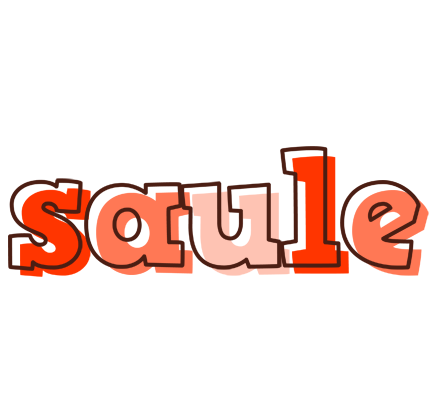 Saule paint logo