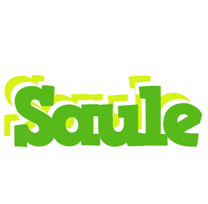 Saule picnic logo