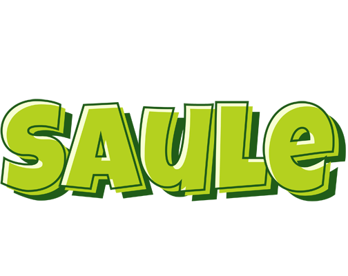 Saule summer logo