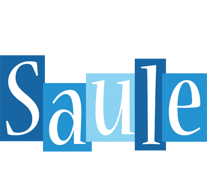 Saule winter logo