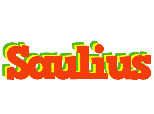 Saulius bbq logo