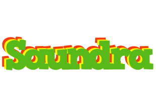 Saundra crocodile logo