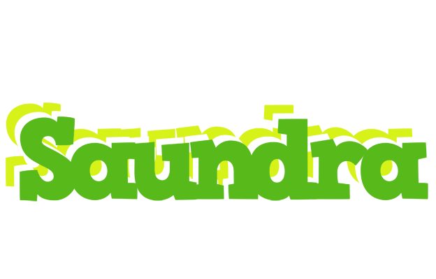 Saundra picnic logo